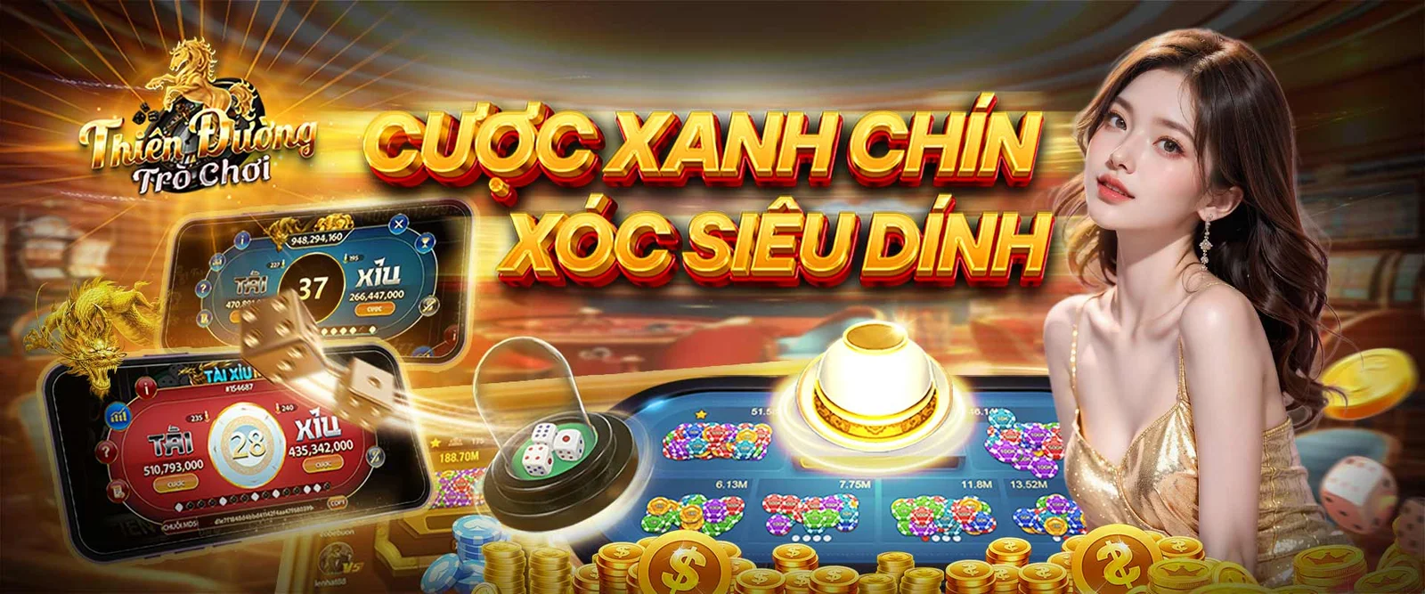 tdtc banner
